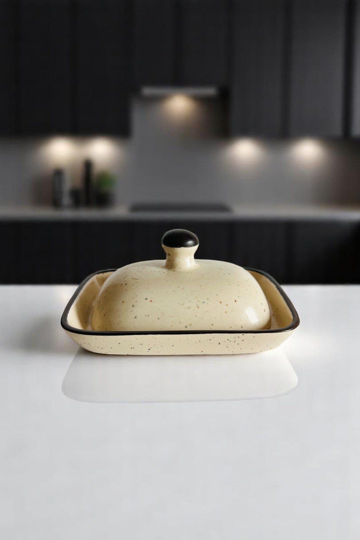 Monochrome Harmony Butter Dish